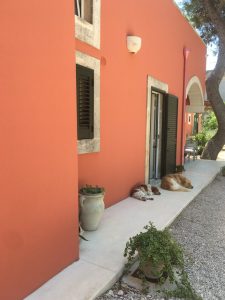 Petra Country House: la magia dei soggiorni di coppia tra intimità, natura e autenticità